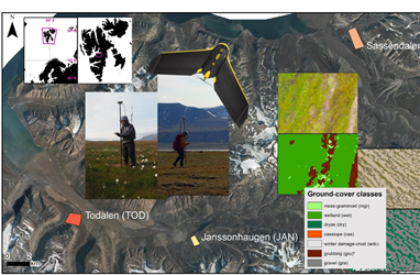 Drone-based mapping of changed vegetation